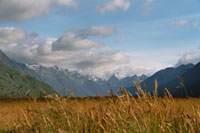 Auf der Fahrt zum Milford Sound